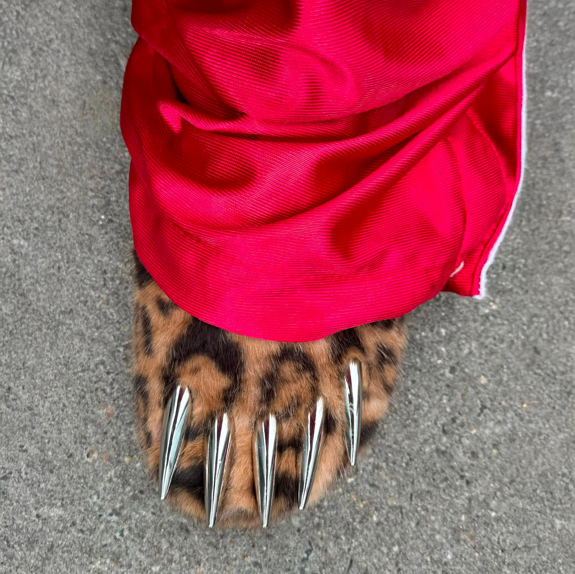 Leopard Claw Mules