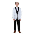 Tazzio Boy's 5pc Solid Suit
