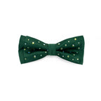 Bold and Confident GREEN