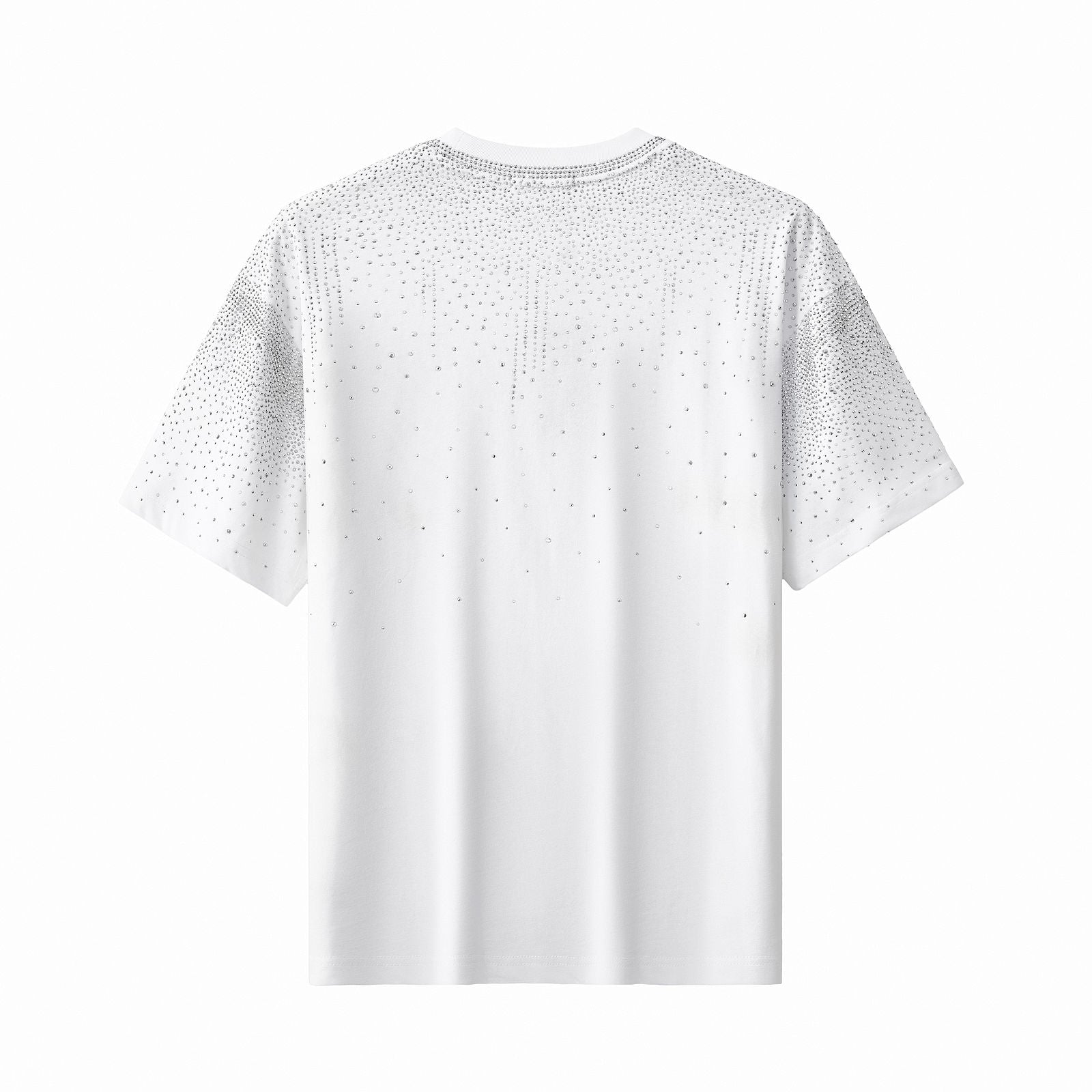Cascade Stone SS Shirt WHITE/SILVER