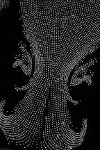 Regal Cascades Embellished Velvet Blazer BLACK/SILVER